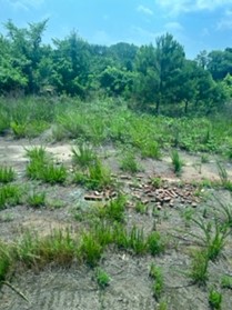 Piles of bricks left behind from the former Chattahoochee Brick Company 